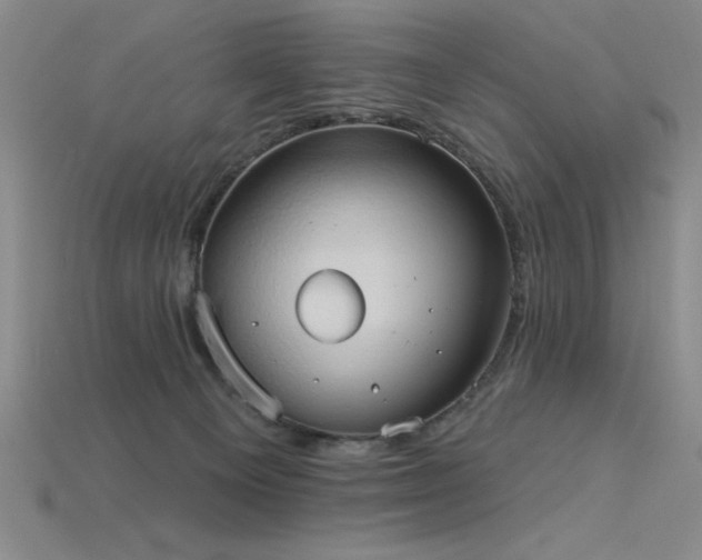 X0000115790129200911131316