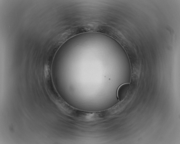 X0000115790130200911131316