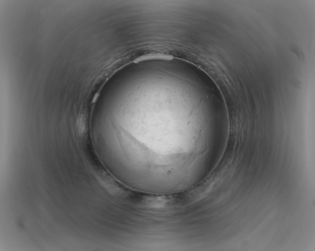 X0000115790131200911131316