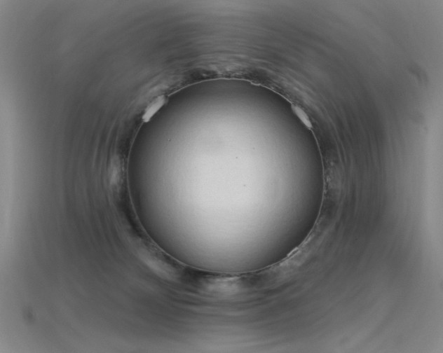 X0000115790132200911131316