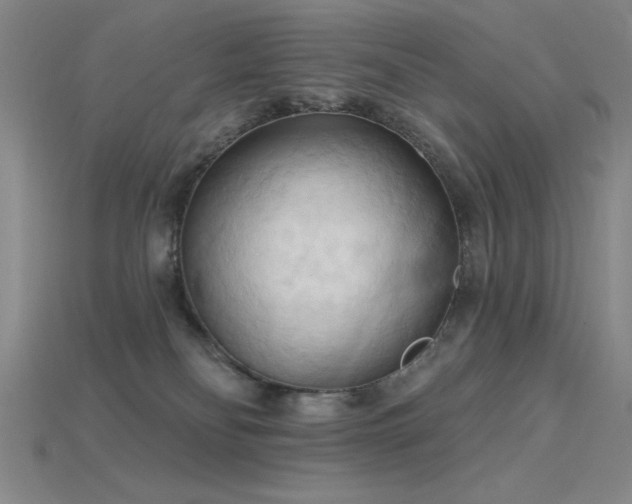 X0000115790134200911131316