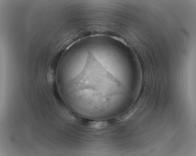 X0000115790135200911131316