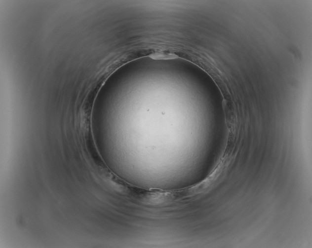 X0000115790136200911131316