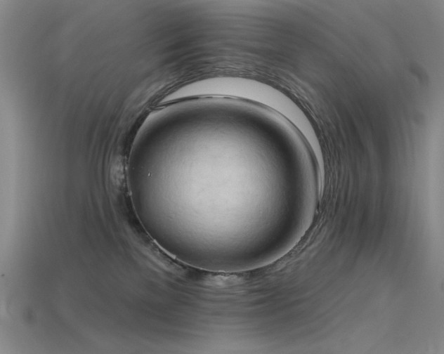 X0000115790137200911131316