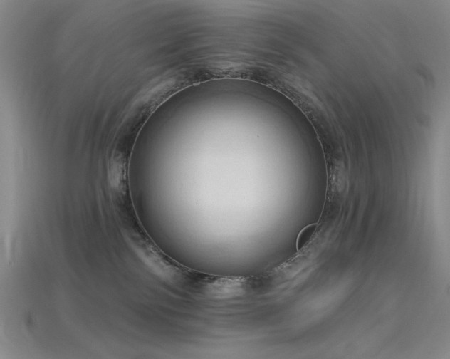 X0000115790138200911131316