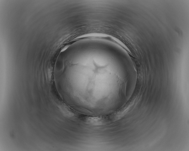 X0000115790139200911131316