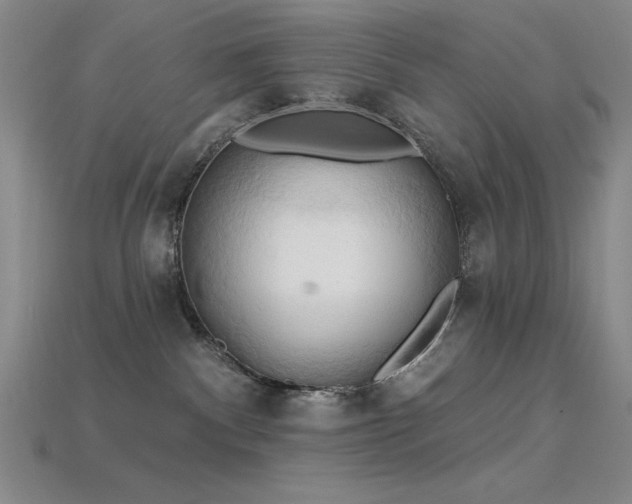 X0000115790140200911131316