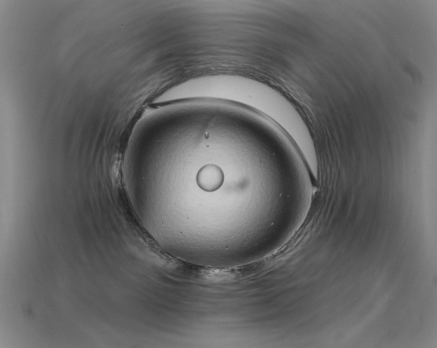 X0000115790141200911131316