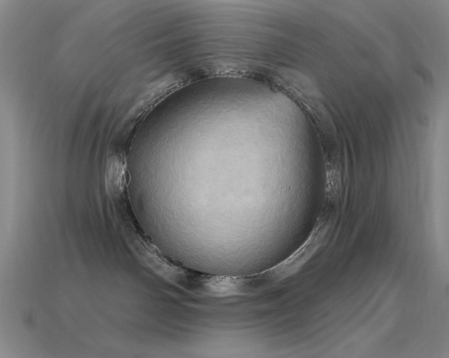 X0000115790142200911131316