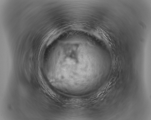 X0000115790145200911131315