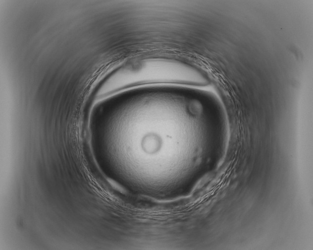 X0000115790146200911131315