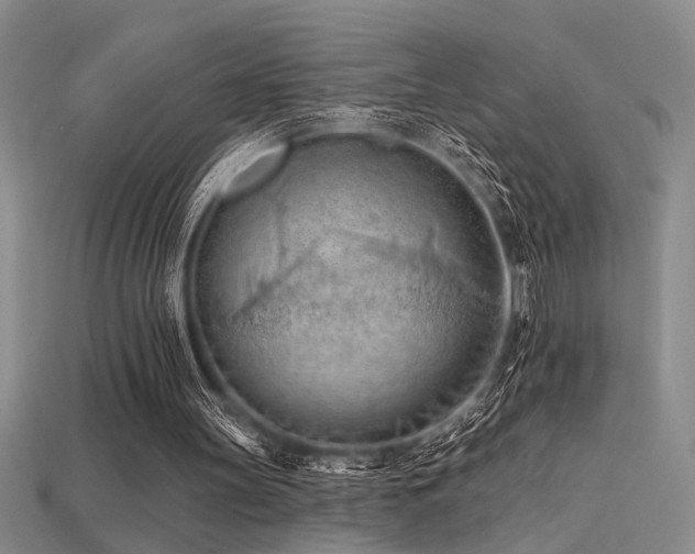 X0000115790147200911131315