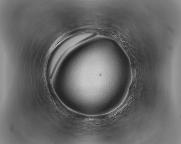 X0000115790150200911131315