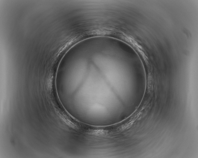 X0000115790153200911131315