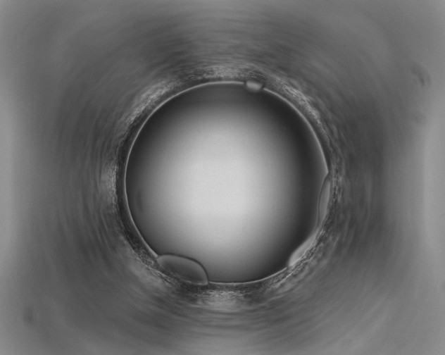 X0000115790154200911131315