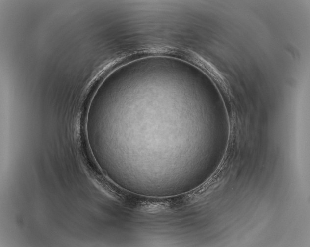 X0000115790155200911131315