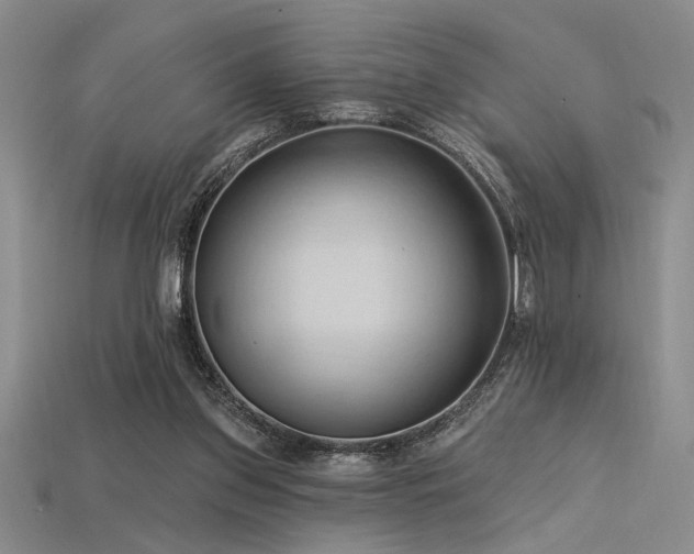 X0000115790157200911131315