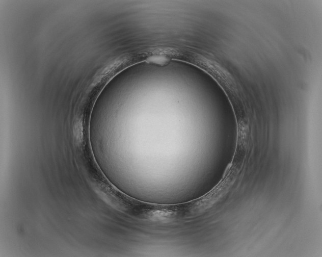 X0000115790158200911131315