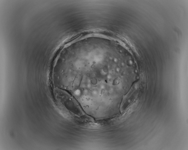 X0000115790159200911131315