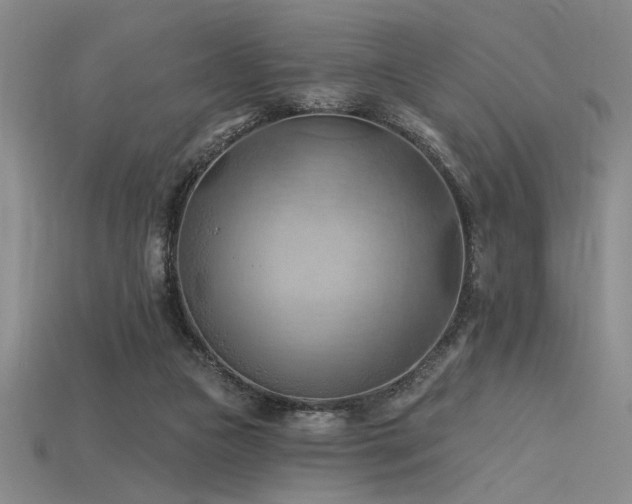 X0000115790161200911131315