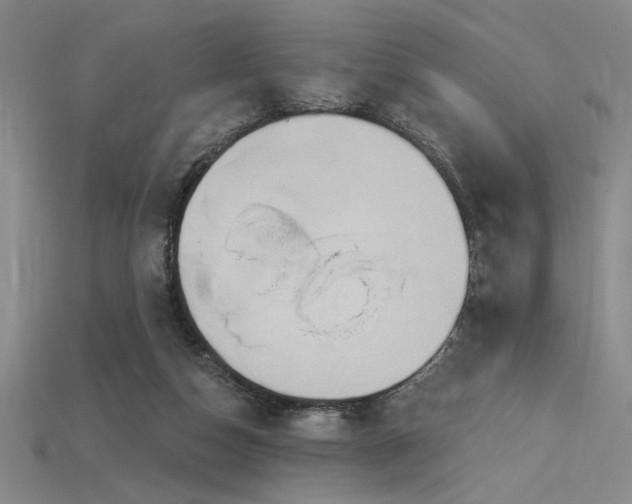 X0000115790162200911131315