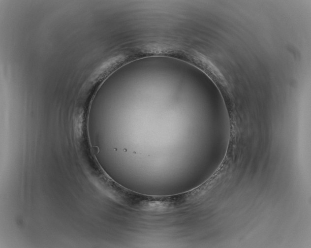 X0000115790163200911131315