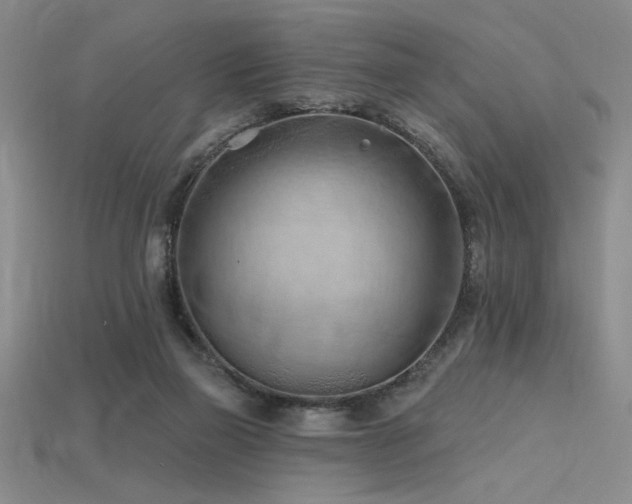 X0000115790165200911131315