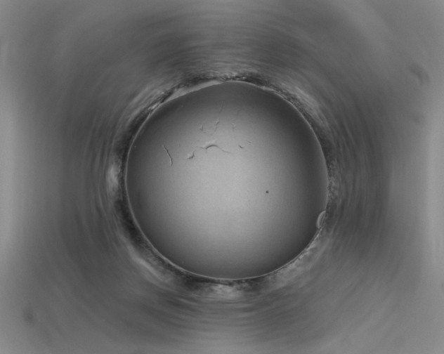 X0000115790166200911131315