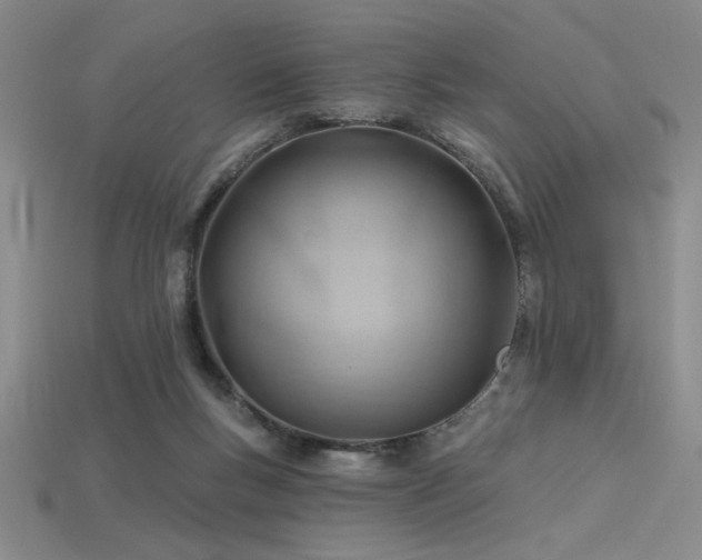 X0000115790167200911131315