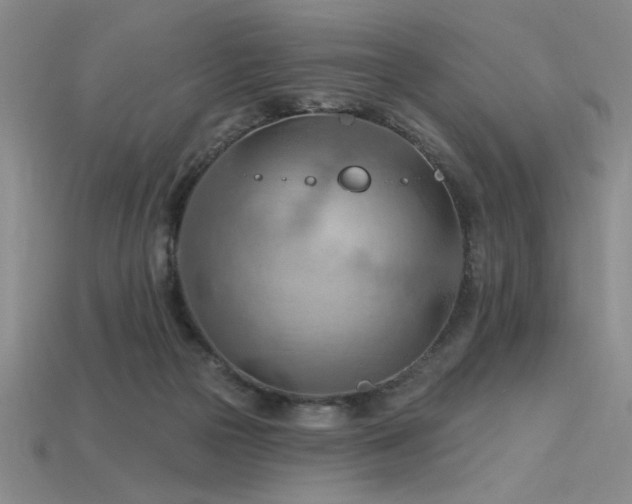 X0000115790169200911131315