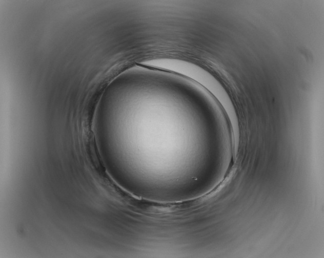 X0000115790170200911131315