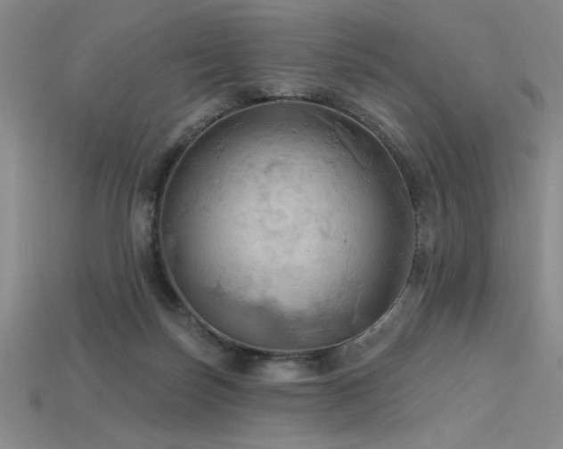 X0000115790171200911131315