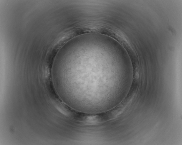 X0000115790173200911131315