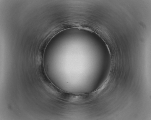 X0000115790174200911131315