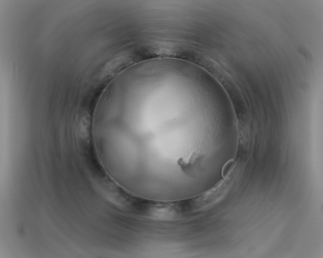 X0000115790175200911131315