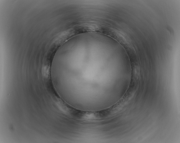 X0000115790177200911131315