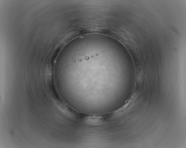 X0000115790179200911131316