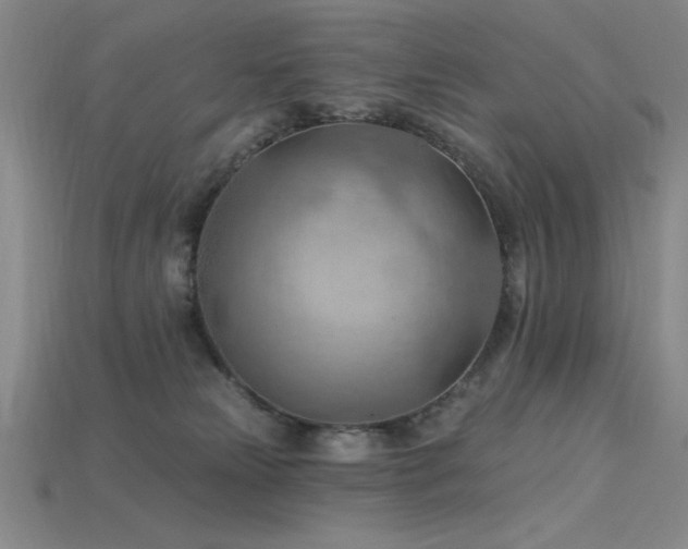 X0000115790181200911131316