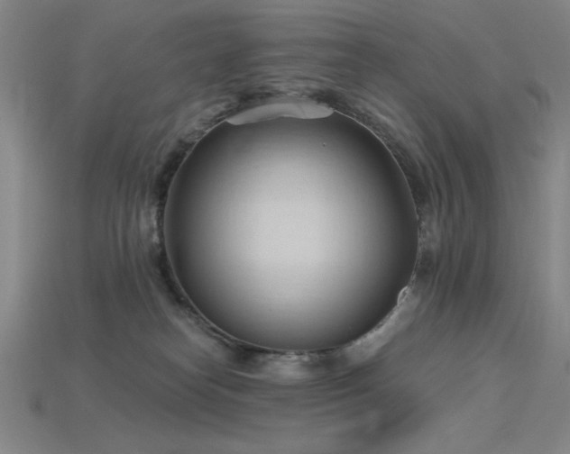 X0000115790182200911131316