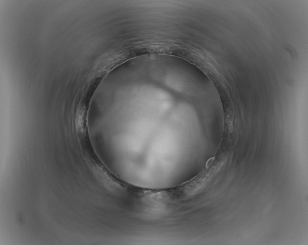 X0000115790185200911131316