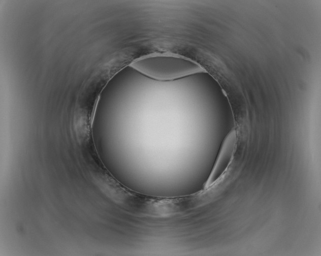 X0000115790186200911131316