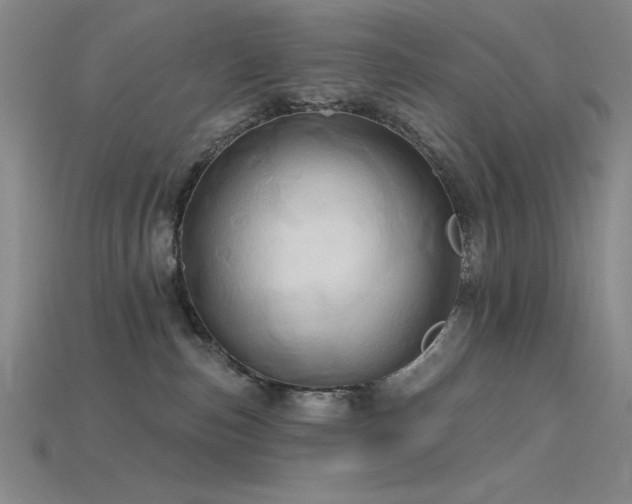 X0000115790187200911131316