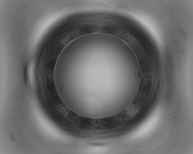 X0000115790189200911131316