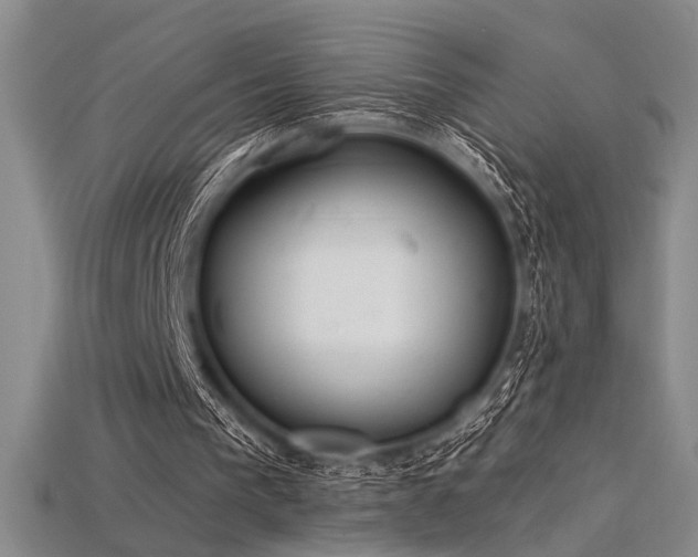 X0000115790193200911131315