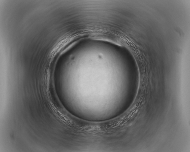 X0000115790194200911131315