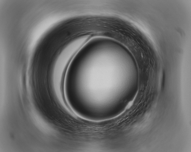 X0000115790195200911131315