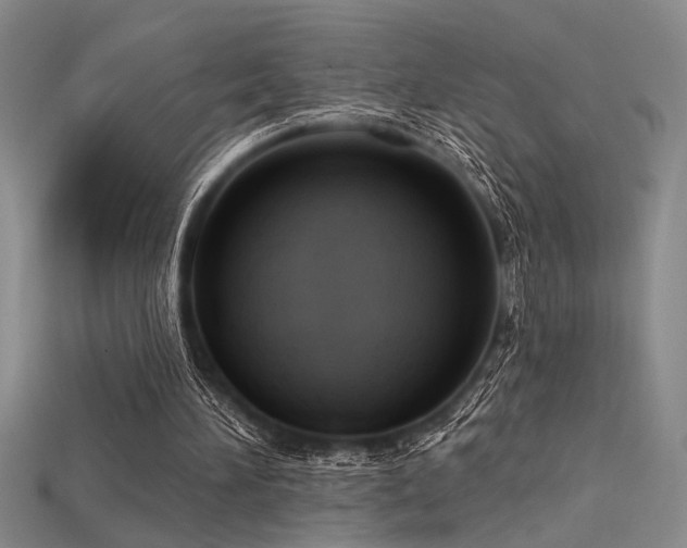 X0000115790196200911131315