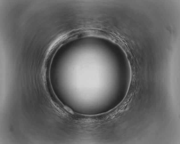 X0000115790197200911131315