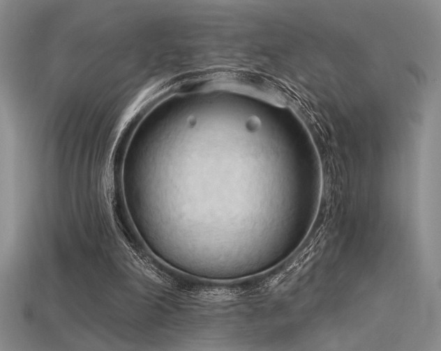 X0000115790198200911131315