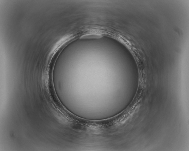 X0000115790199200911131315